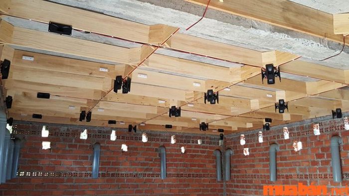 Đảm bảo mức ánh sáng lý tưởng cho nhà nuôi yến