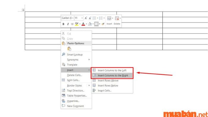 Insert Columns to the Right/Left