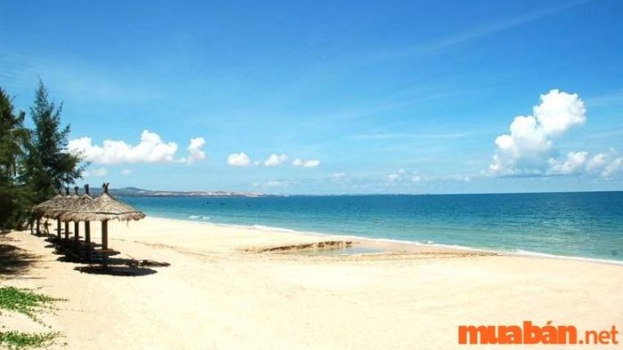 Khi đi Phan Thiết, đừng quên ghé thăm Bãi biển Đồi Dương ít nhất một lần