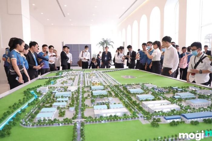 Đất dự án là gì? Những điều cần lưu ý về thông tin chủ đầu tư khi mua đất dự án