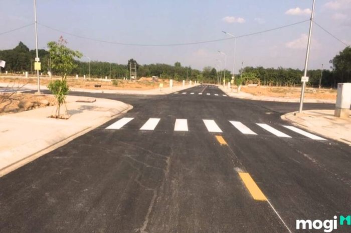 Đất dự án là loại đất trong khu quy hoạch của chủ đầu tư, được chia lô và vẫn giữ nguyên trạng thái ban đầu, chưa có sự can thiệp hay xây dựng.