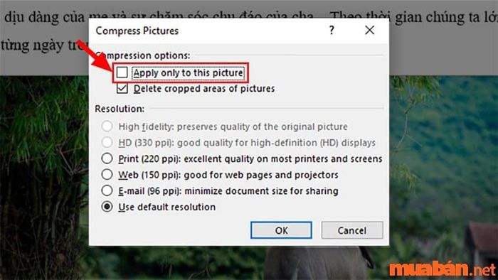 Bỏ chọn mục “Apply only to this picture”