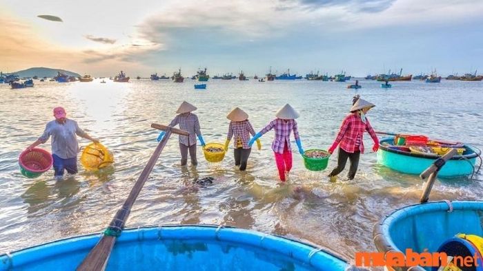 Những ngư dân tại làng chài Mũi Né