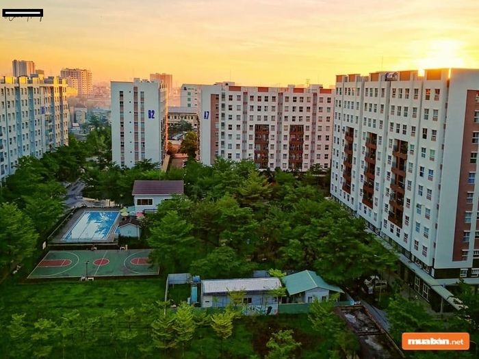 Ehome 3 cung cấp tổng cộng 2.000 căn hộ cho thị trường bất động sản.