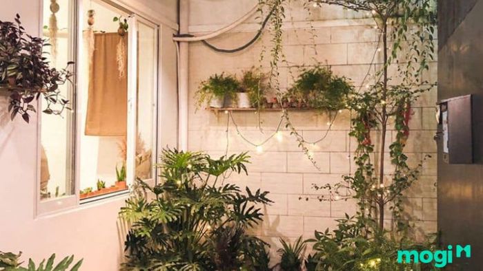 Trang trí Noel tại quán Cafe