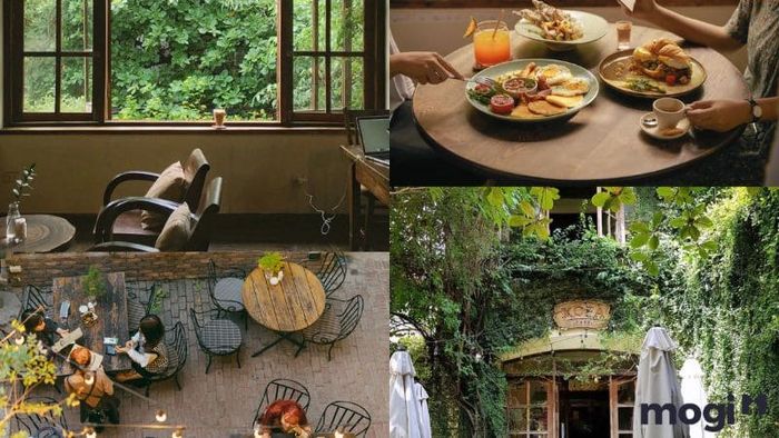 Trang trí Noel quán cafe