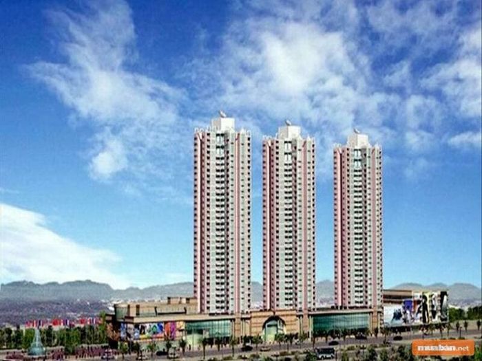 Dự án này không đáp ứng được kỳ vọng của các nhà đầu tư