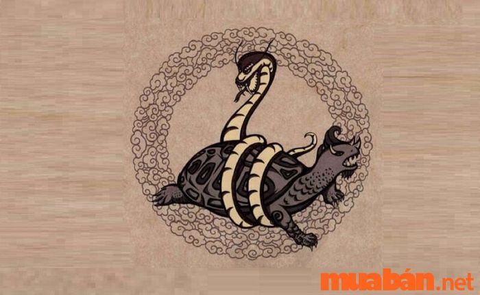 Thế đất Huyền Vũ