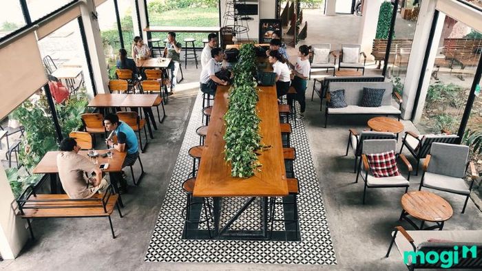 Trang trí Noel tại quán cafe
