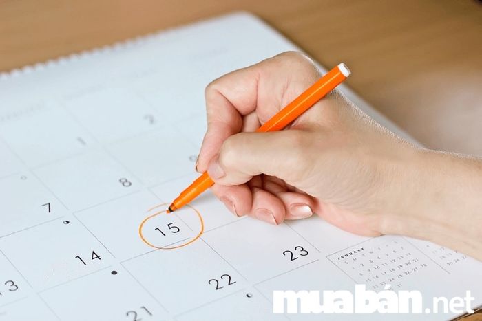 tìm thuê căn hộ