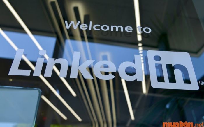 Khám phá các công việc phổ biến dễ dàng trên LinkedIn