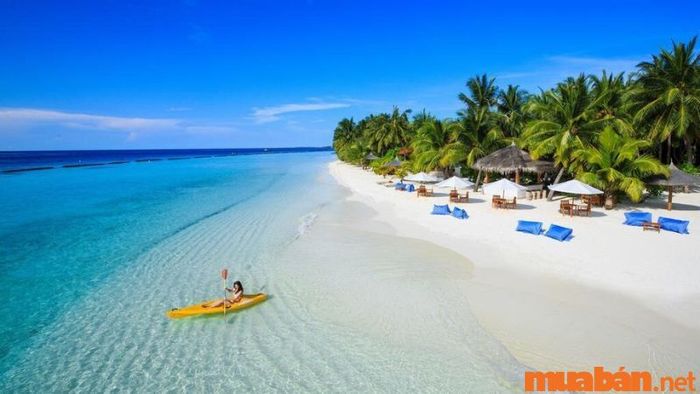 Thử sức với chèo thuyền kayak, lướt ván, lướt sóng ngay trên làn sóng biển