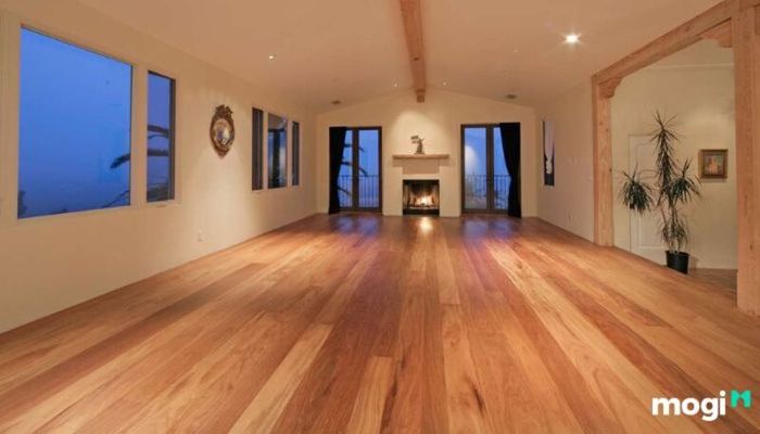 Gỗ teak là loại gỗ gì?