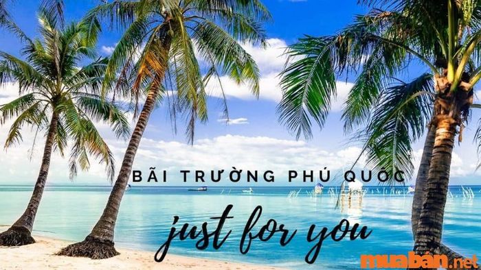 Thời điểm lý tưởng để du lịch Bãi Trường