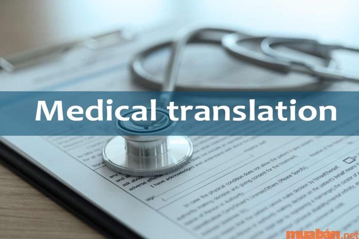 Công việc dịch tài liệu y học - dược học như thế nào?