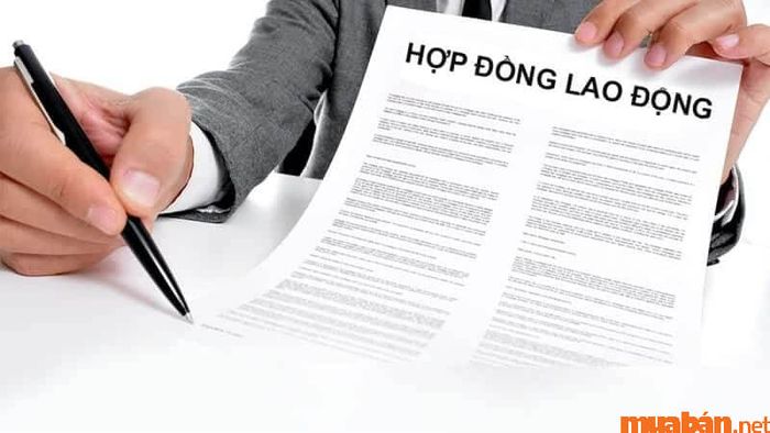 Các loại hợp đồng lao động theo quy định của Luật Lao động