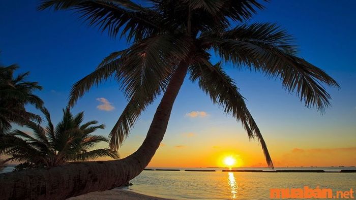 Bãi biển Phú Quốc, nơi như bước ra từ thế giới tiên cảnh