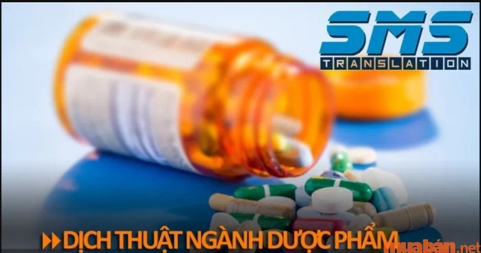 Truy cập vào dichthuatsms để tìm kiếm công việc dịch thuật online tại nhà trong nhiều lĩnh vực chuyên môn khác nhau.