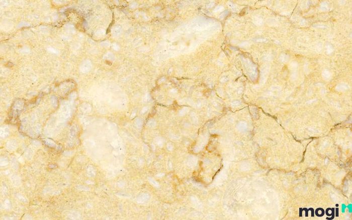 Đá Marble đen vân trắng dài tạo điểm nhấn mạnh mẽ với những đường vân trắng mềm mại trên nền đen huyền bí, giúp tạo ra không gian nổi bật và tinh tế trong thiết kế.