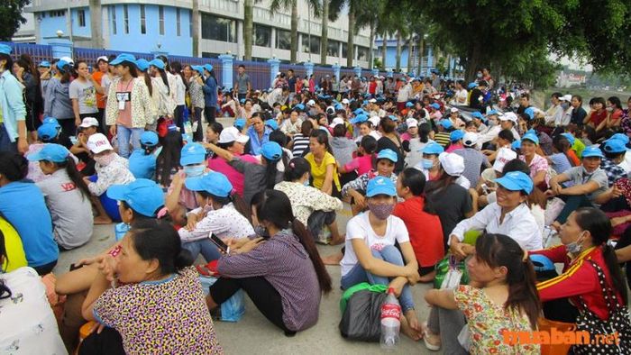 Giải quyết quyền lợi cho người lao động trong thời gian đình công ra sao?