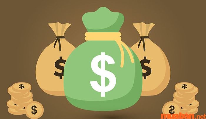 Khám Phá Mức Lương Cạnh Tranh Là Gì Và Tại Sao Nó Quan Trọng