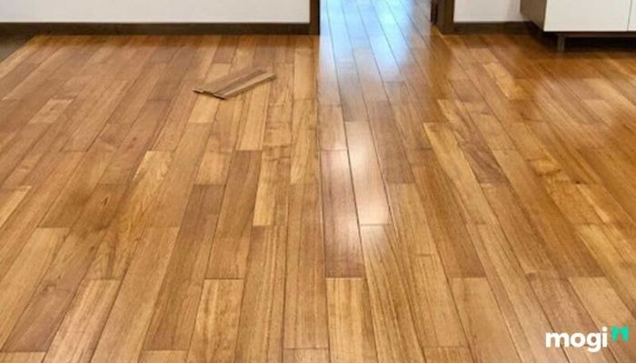 Gỗ teak là loại gỗ gì?