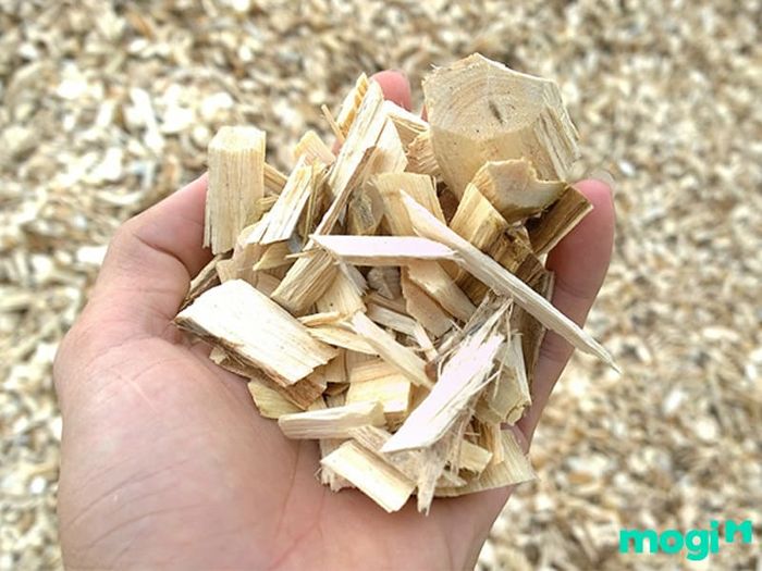 Quy trình sản xuất gỗ MFC: Bước đầu tiên là gì?