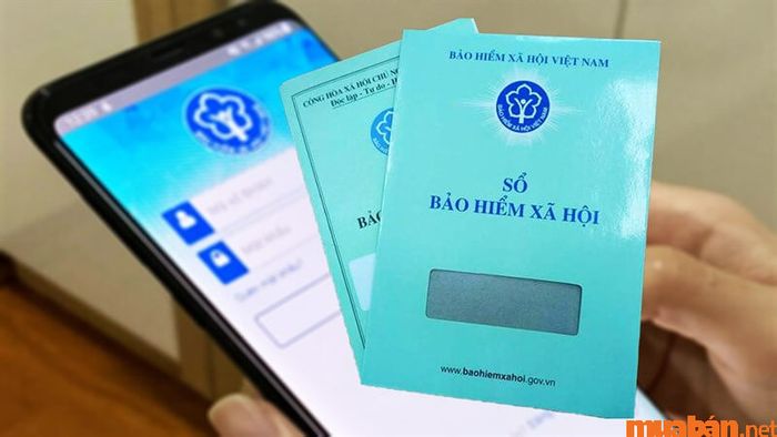 Về các loại bảo hiểm (BHXH, BHYT, BHTN)