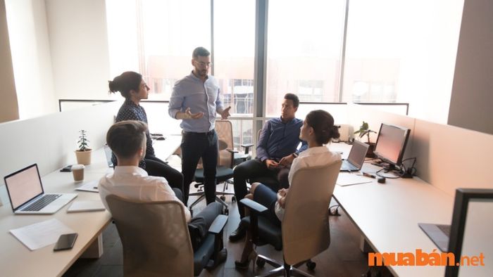 Mô tả công việc của giám đốc điều hành