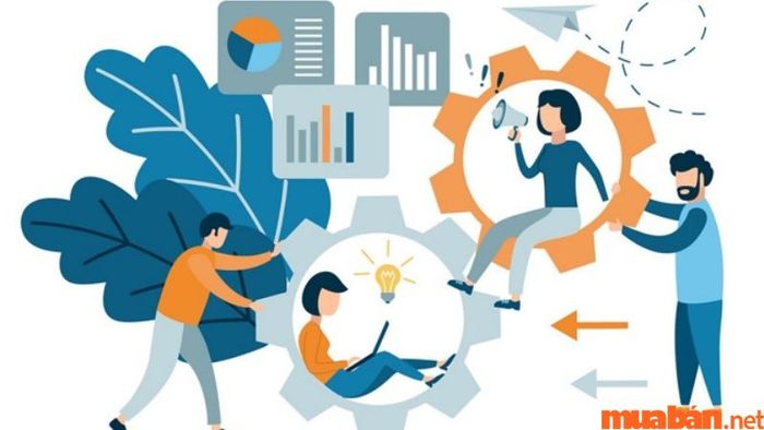 Kế toán nội bộ cần có khả năng điều chỉnh công việc để đáp ứng kịp thời sự thay đổi trong các yêu cầu và quy trình, từ đó đảm bảo sự linh hoạt và hiệu quả trong công việc.