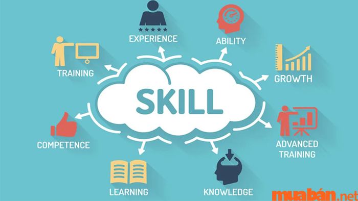 CV dành cho dược sĩ bán thuốc