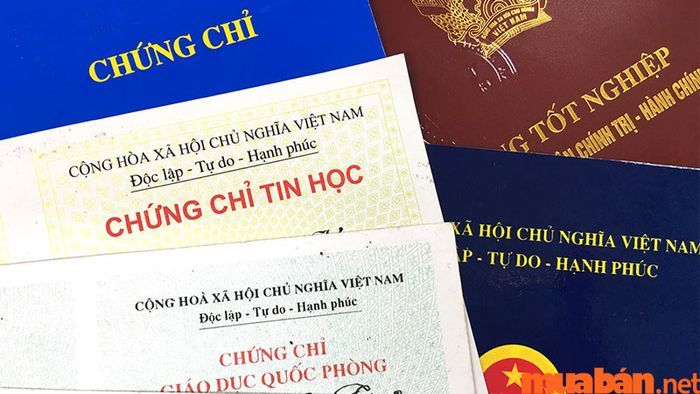 CV dành cho dược sĩ bán thuốc