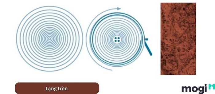 Veneer là gì? Tìm hiểu khái niệm về loại gỗ này.