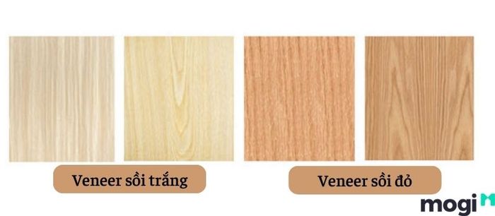 Veneer là gì? Tìm hiểu về loại gỗ này.