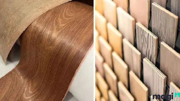 Veneer là gì? Khám phá về loại gỗ này và ứng dụng của nó.