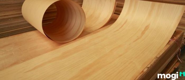 Veneer là gì? Tìm hiểu khái niệm về loại gỗ này.