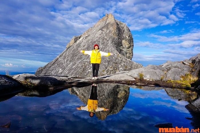Công viên Kinabalu là nơi trú ngụ của nhiều loài động vật quý hiếm, thu hút những ai đam mê khám phá thế giới tự nhiên.