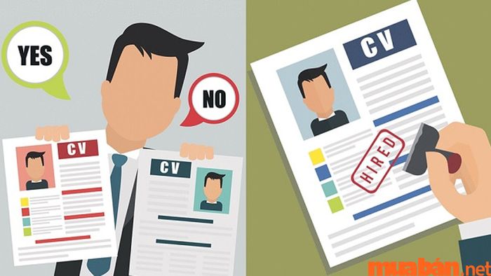 CV dành cho dược sĩ bán thuốc