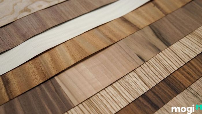 Veneer là gì? Khám phá những điều cần biết về loại gỗ này.