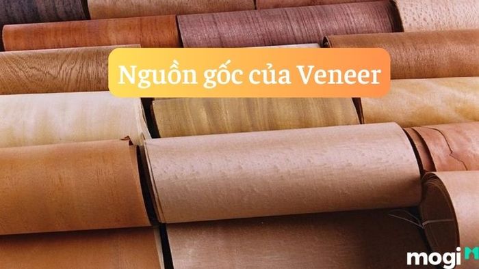 Veneer là gì và tại sao nó lại phổ biến?