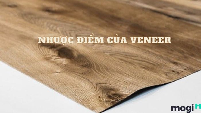Veneer là gì? Cùng tìm hiểu khái niệm về loại gỗ này.