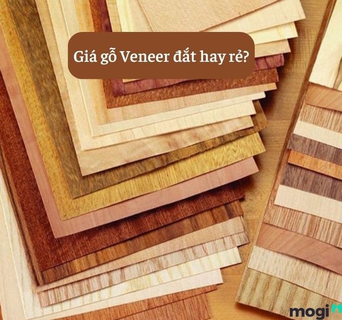 Veneer là gì?