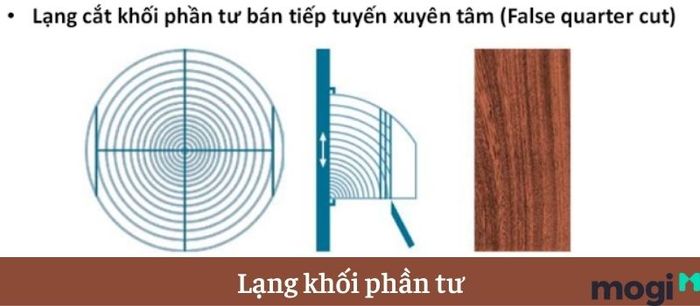Veneer là gì? Tìm hiểu về loại gỗ đặc biệt này.