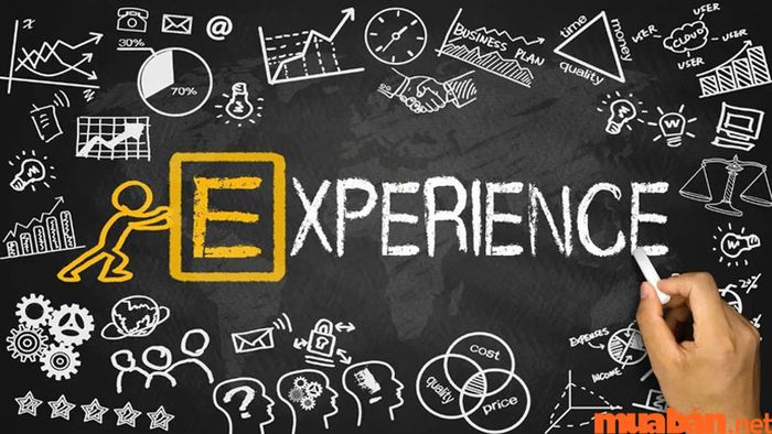 CV dành cho dược sĩ bán thuốc