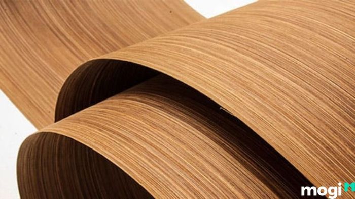 Veneer là gì? Khám phá về loại gỗ này.