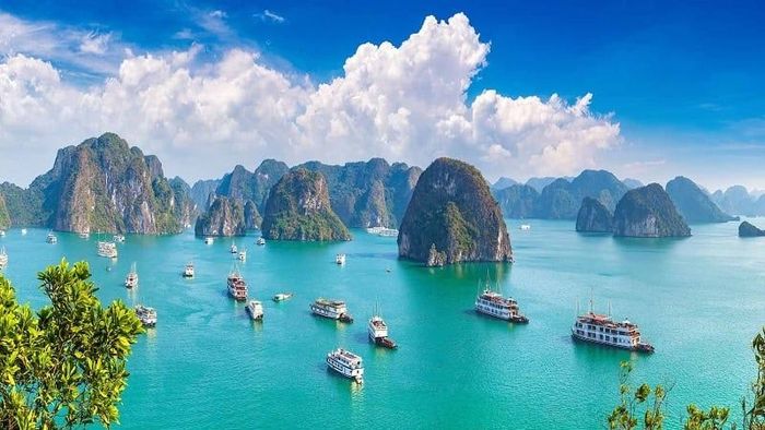 Với lịch trình ngắn ngày, bạn có thể lựa chọn giữa việc đi du lịch Quảng Ninh 3 ngày 2 đêm tự túc hoặc tham gia tour du lịch Quảng Ninh 3 ngày 2 đêm.