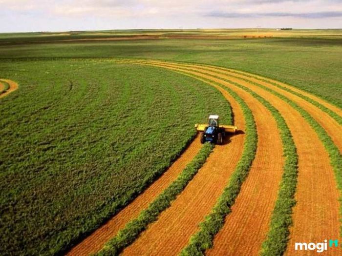 Ứng dụng công nghệ hiện đại để nâng cao hiệu quả canh tác và bảo vệ đất