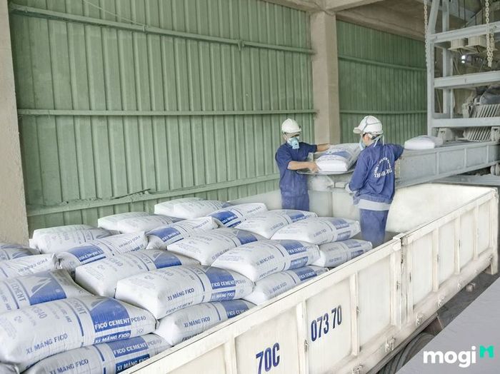 xi măng đa dụng là gì