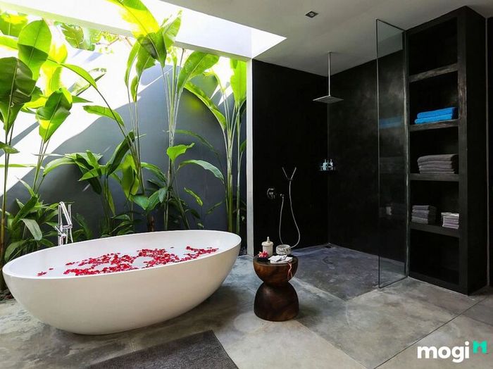decor là gì