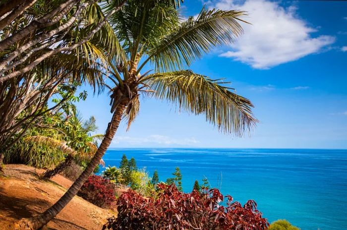 Scenic ocean views in Tenerife.